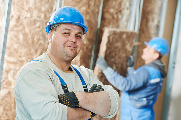 Best Types of Insulation in Golden Shores, AZ