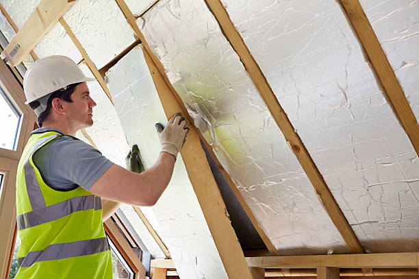 Best Insulation Maintenance and Repair in Golden Shores, AZ