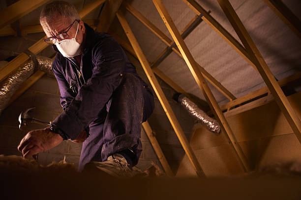 Best Insulation Installation Services in Golden Shores, AZ